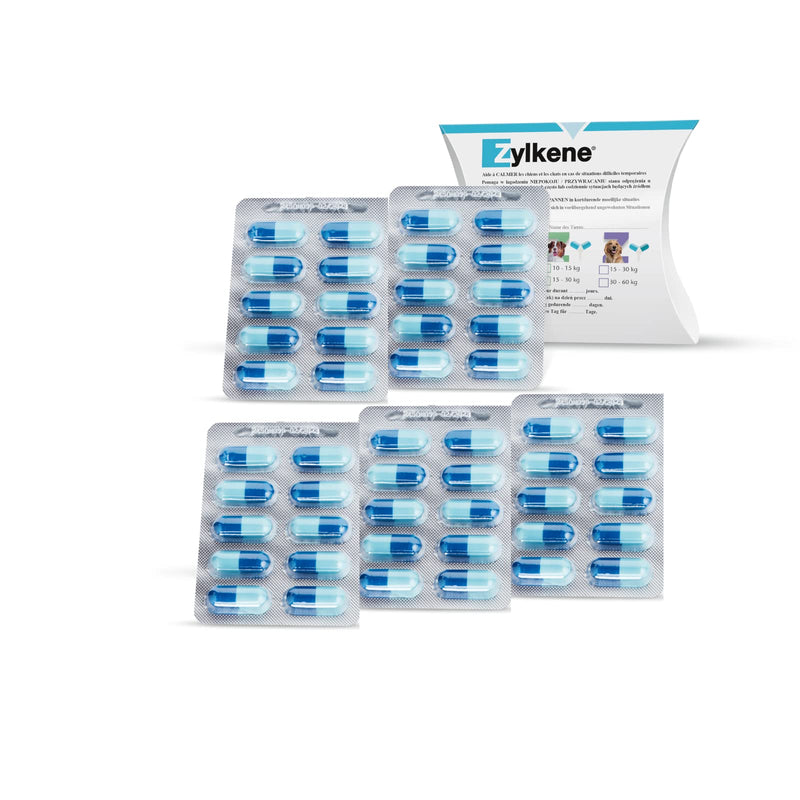 Zylkene 450 mg | 50 capsules | Supplementary food for large dogs | For support in unfamiliar situations | With trypsin-hydrolyzed bovine casein - BeesActive Australia