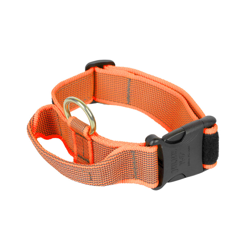 Julius-K9 Color & Gray Collar with Handle, Safety Clasp and Interchangeable Patch, 40mm (38-53cm), Orange-Grey with Handle 40mm (38-53cm) - BeesActive Australia