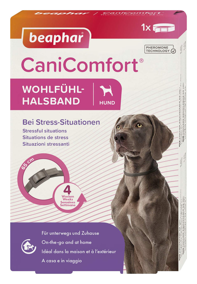 BEAPHAR - CaniComfort® feel-good collar - for dogs of all breeds and ages - pheromone technology - calms in stressful situations - for on the go and at home - works for 4 weeks - 65cm - gray 65 cm - BeesActive Australia