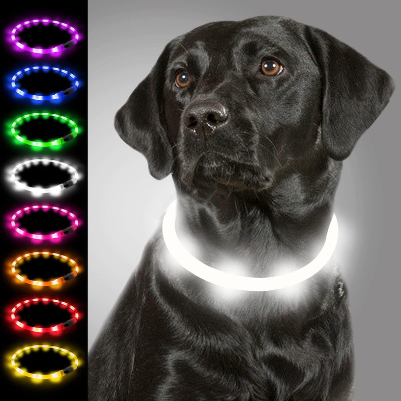 Joytale Luminous Dog Collar USB Rechargeable Dog Collar Luminous for Large Medium Small Dogs and Puppies, LED Collar with 3 Modes for Safety, White 70 cm (Pack of 1) White - BeesActive Australia