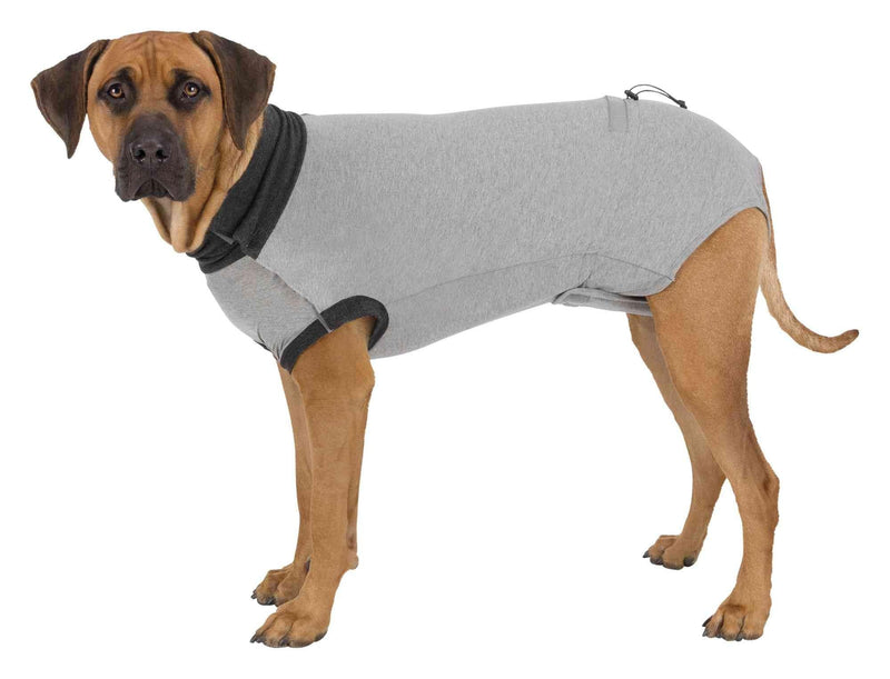 TRIXIE 19533 surgical body XL 70 cm gray - BeesActive Australia