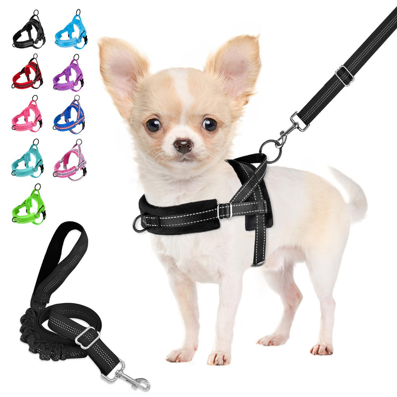 Eyein Dog Harness with Leash for Small Medium Dogs, No-Pull Adjustable Chest Harness with 2 Leash Clips, Reflective & Lightweight Harness with Soft Padding (Black, XXS) Black - BeesActive Australia