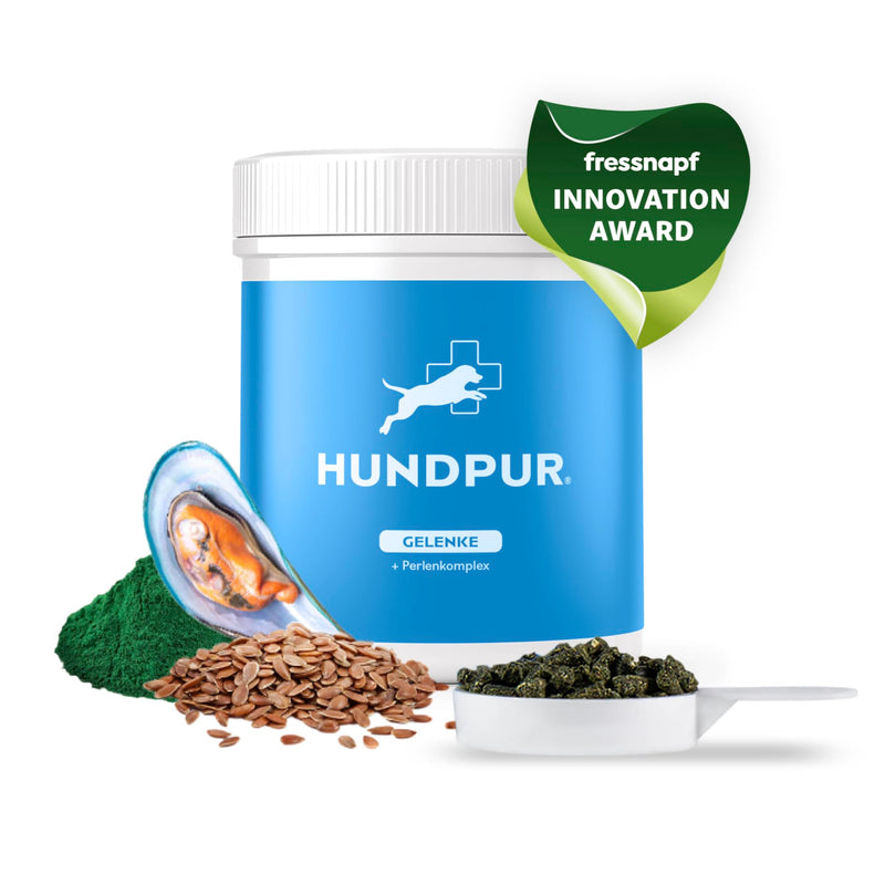 Hundpur Joints 300g - Supplementary food to support joint metabolism in osteoarthritis - With green-lipped mussel, glucosamine & MSM - BeesActive Australia