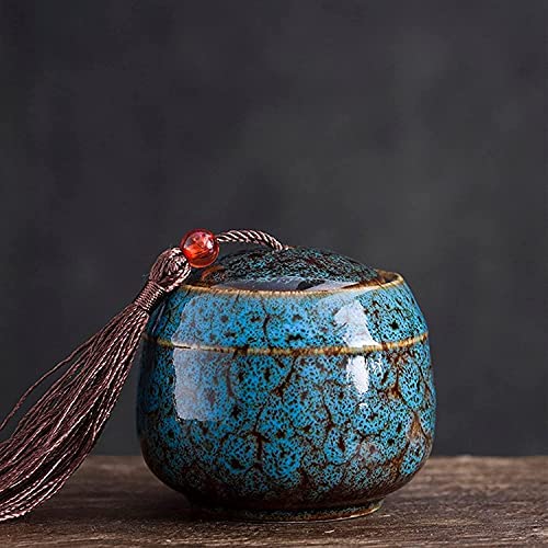 Exnemel Small Urns for Human Ashes, Mini Urn for Ashes for Adults Urns for Pets Dogs, Cat Ashes, Keepsake Funeral Urn Ash Holder (Blue) Blue - BeesActive Australia
