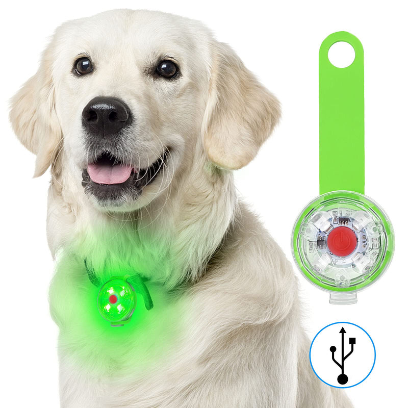 Fttouuy Safety LED Flashing Light for Dogs, Cats - USB Rechargeable LED Light Pendant Dog, 3 Flashing Modes Waterproof Safety Pet Lights (Green) Green - BeesActive Australia
