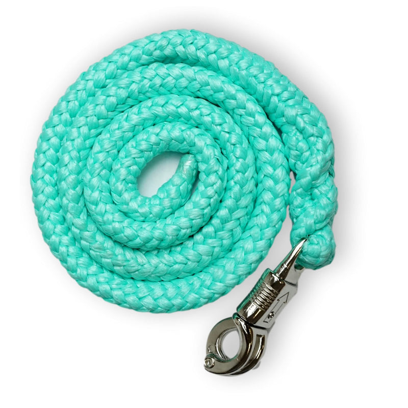 Lead rope with panic hook | for horses, ponies, shetty, donkeys | Tie rope in many stylish designs | Length 1.60 m (Mint) Mint - BeesActive Australia