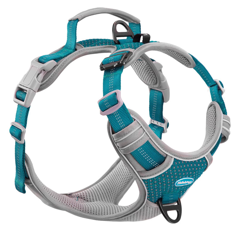ThinkPet Anti-Pull Dog Harness, Dog Harness with Handle, Easy to Control Dog Harness, Adjustable without Choking, Dog Harness, Reflective, Breathable, Padded (XL, Bright Teal) XL (Pack of 1) - BeesActive Australia