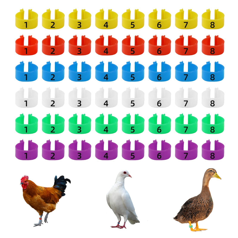 CYWVYNYT Pack of 48 Chicken Leg Rings Multicolored Chicken Identification Leg Bands Numbered Clip on Poultry Leg Rings for Gamefowl Turkey Duck Goose Guinea (20 mm) 20 mm - BeesActive Australia