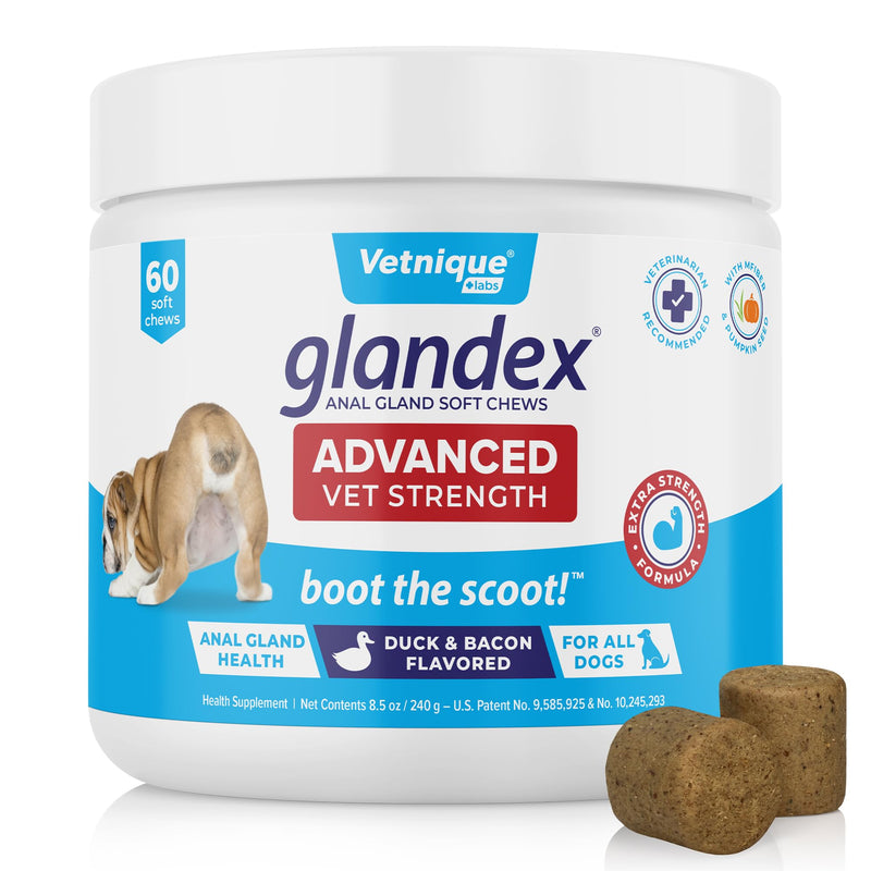 Vetnique Labs Glandex Advanced Strength Anal Sac Soft Chews with Fiber for Dogs, Digestive Enzymes, Probiotics - Veterinarian Recommended Vegetarian Duck & Bacon… (60ct Chew) 60ct Chew - BeesActive Australia