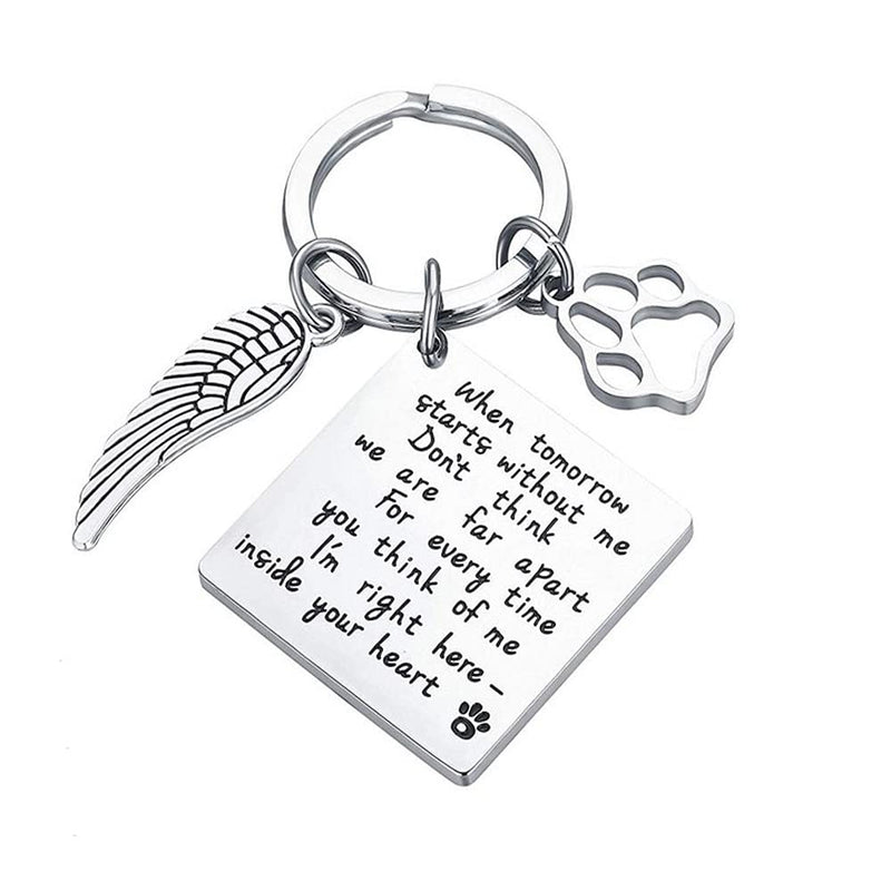 WANGCL Stainless Steel Paw Print Keychain with Box to Remember Lost Dogs Pets Cats - BeesActive Australia