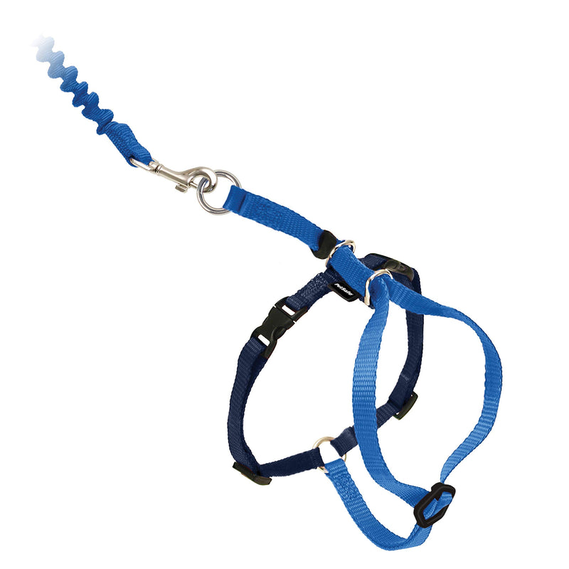 PetSafe Easy Walk Cat Harness, With Elastic Bungee Leash, For Walking Your Cat, Size M, Blue, CWMK-M-RYL-19 - BeesActive Australia