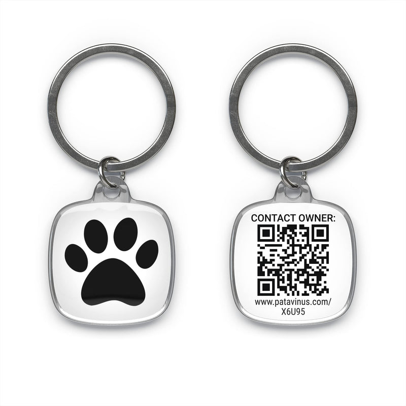 SECURE your dog - 1x customizable tag and app for iOS and Android - Personalized QR code dog tag - Dog address tag - Contact us in seconds using the chat function - BeesActive Australia