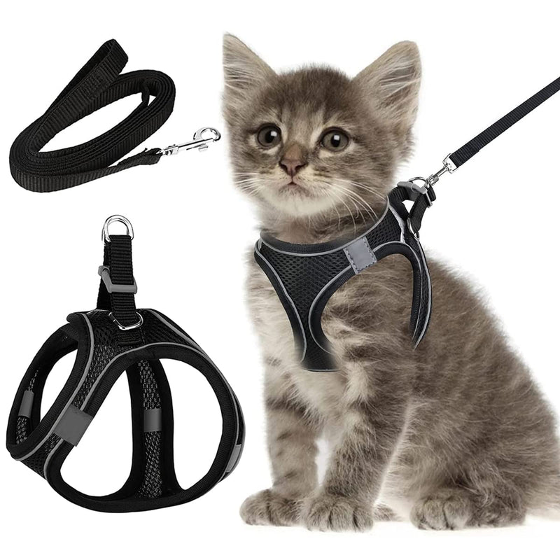 Cat leash with harness for cats, cat harness with leash escape-proof, cat harness escape-proof, cat harness set with leash for cats kittens dogs puppies (XXS) XXS - BeesActive Australia