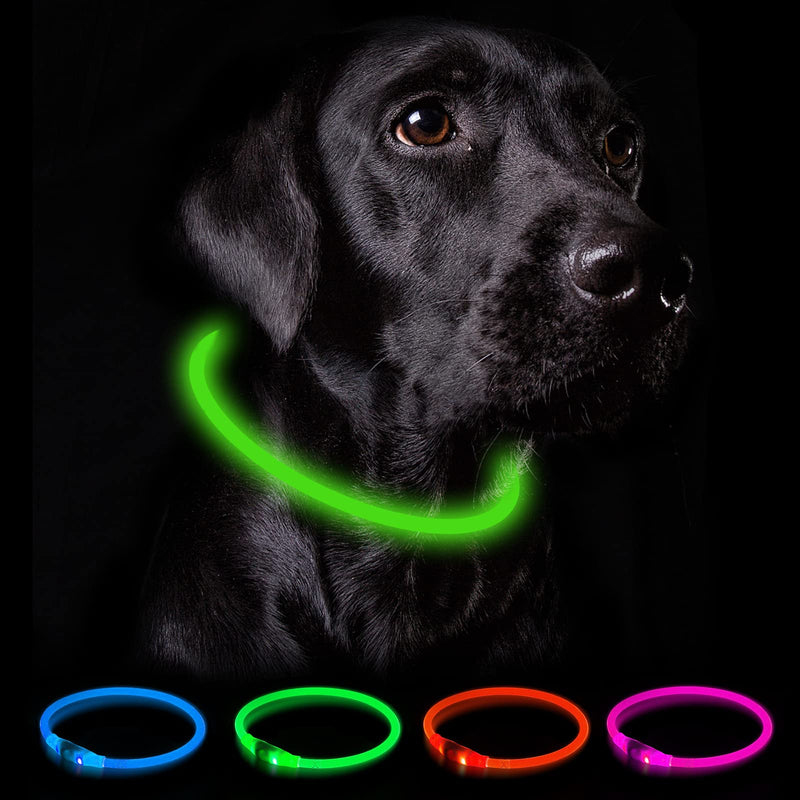 Nepfaivy Luminous Dog Collar USB Rechargeable - Waterproof Dog Collar Luminous with 3 Lighting Modes, Length-Adjustable LED Collar for Small, Medium and Large Dogs (Green) Green - BeesActive Australia