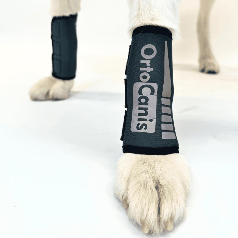 Ortocanis - Carpal Joint Brace for Dogs - Osteoarthritis, Ligament and Tendon Injuries or Agility Dogs - Made of Neoprene ARD - Size S 12-13 cm Size S (12-13 cm) - BeesActive Australia