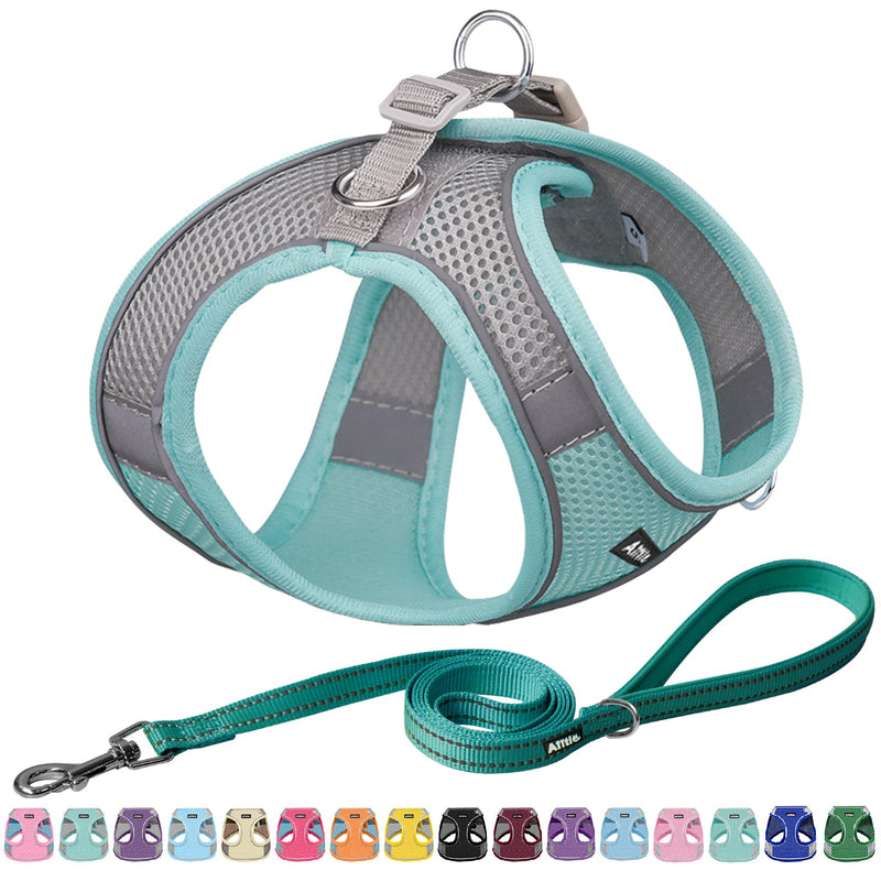 AIITLE Anti-Pull Dog Harness, Adjustable Dog Harness with Padded Vest, Easy to Wear for Small to Medium Dogs, Turquoise S - BeesActive Australia