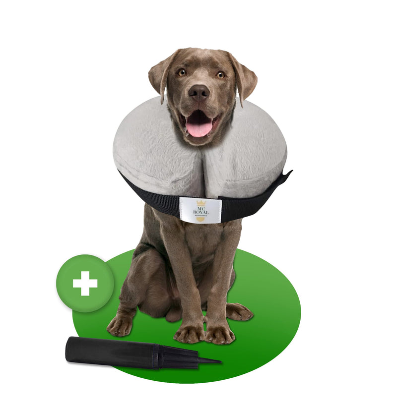 NEW: MC-Royal®Premium neck brace - inflatable premium neck brace for dogs and cats [reliable protection] - dog collar - leak protection dog - dog collar - cat neck brace - protective collar dog 2.Size: L - BeesActive Australia