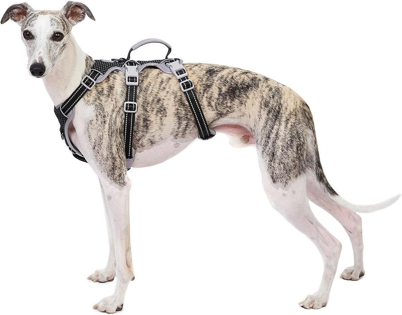 Huntboo Dog Harness Escape Proof, Dog Panic Harness, Reflective Strap with Padded Handle, Breathable, Adjustable Vest for Large Dogs Walking and Running (Black, L) Black Large (Pack of 1) - BeesActive Australia