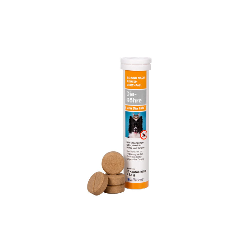 Alfavet Dia tube from Dia Tab | 1 x 12 x 5.5g | Supplementary food for dogs and cats for diarrhea | Can help reduce diarrhea | Ideal for on the go - BeesActive Australia