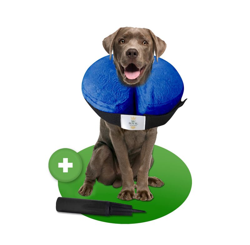 MC-Royal®Premium Neck Brace - Inflatable Premium Neck Brace for Dogs and Cats [Reliable Protection] - Dog Neck Brace - Dog Collar Leak Protection - Cat Neck Brace - Leak Protection Dog - Blue - Size L - BeesActive Australia