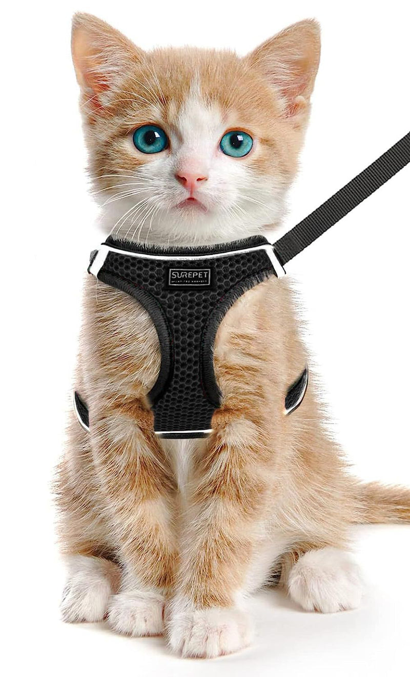 LOS ANDES Cat harness with leash, escape-proof harness for cats, adjustable chest harness, cat harness, reflective, cat leash with harness for cats, puppies S (chest: 30-35 cm) black - BeesActive Australia