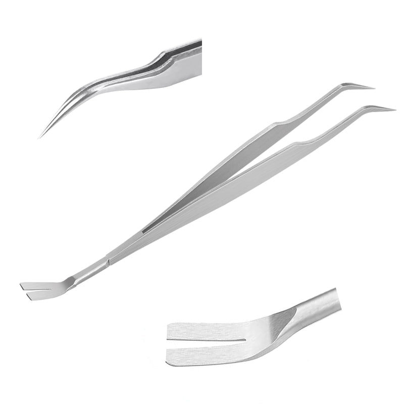 Nutabevr 2 in 1 professional stainless steel tick tweezers, easy removal of ticks of all sizes, tick remover, tick tweezers and tick hook, reliable and easy to use, for humans, dogs, cats - BeesActive Australia
