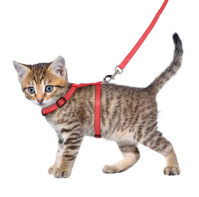 KITTEN HARNESS + LEASH AIWA 15-25CM 10MM ASSORTMENT - BeesActive Australia
