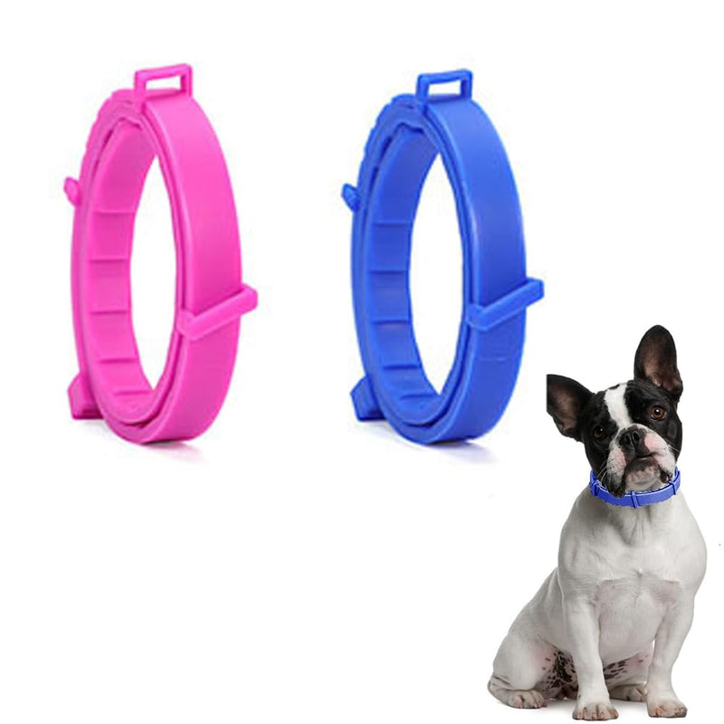 SSyang Luminous prevention collar, 2 pieces tick collar for dogs and cats against parasites with up to 8 months protection, fluorescent collar universal, adjustable in any size (pink + blue) pink + blue - BeesActive Australia