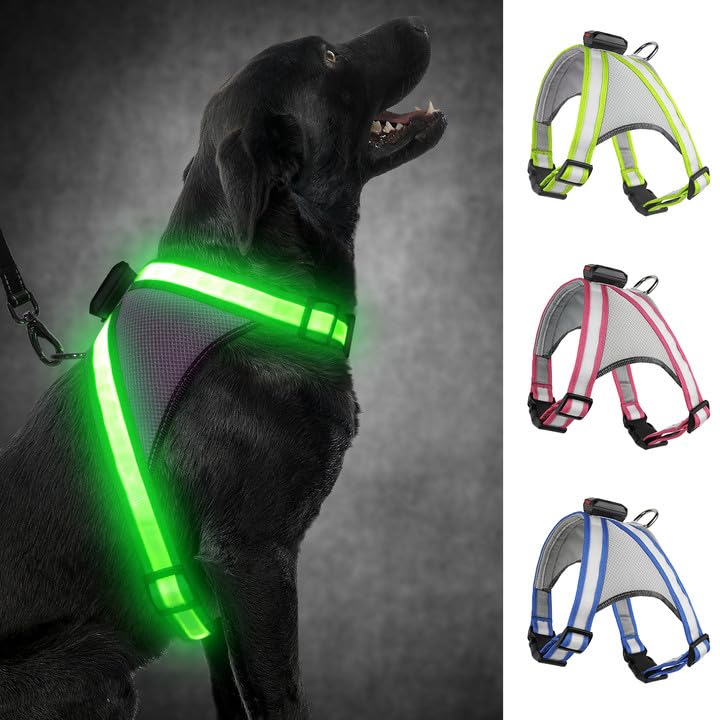 Visinite LED dog harness with light, dog harness luminous, rechargeable, 2 lighting modes, light harness for dogs, adjustable illuminated dog harness, light for safety when walking at night, green, large - BeesActive Australia