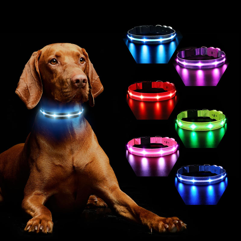 Dog Collar Luminous Rechargeable, Luminous Dog Collar 7 RGB Color Changing with 8 Light Modes, Adjustable LED Waterproof for Small Medium Large Dogs Collar, Black M - BeesActive Australia