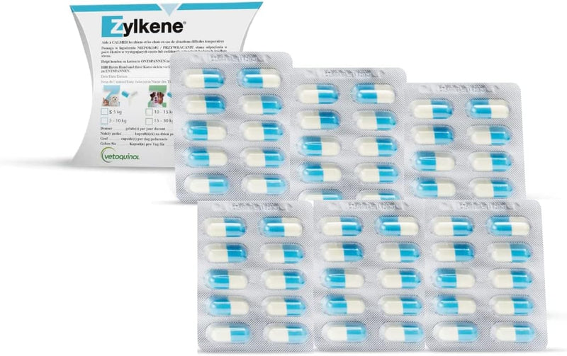 Zylkene Vetoquinol Capsules 75 mg | 60 pack | 6 x 10 capsules | Supplementary food for dogs | Can help support dogs in unfamiliar situations - BeesActive Australia