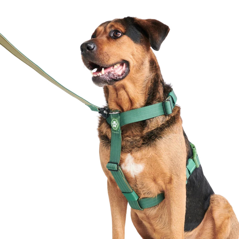 Spark Paws Large Dog No-Pull Harness, Halter Design with Front Clip, Durable and Heavy-Duty for Big and Strong Breeds - Solid Green – L L [36-68kg Green - BeesActive Australia