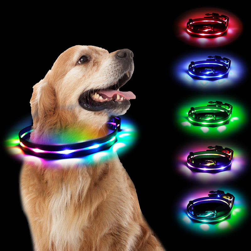 Aisuowa LED light dog collar, USB rechargeable dog collar, luminous, waterproof luminous collar for dogs and cats, 12 lighting modes collar for small, medium and large pets, M - BeesActive Australia
