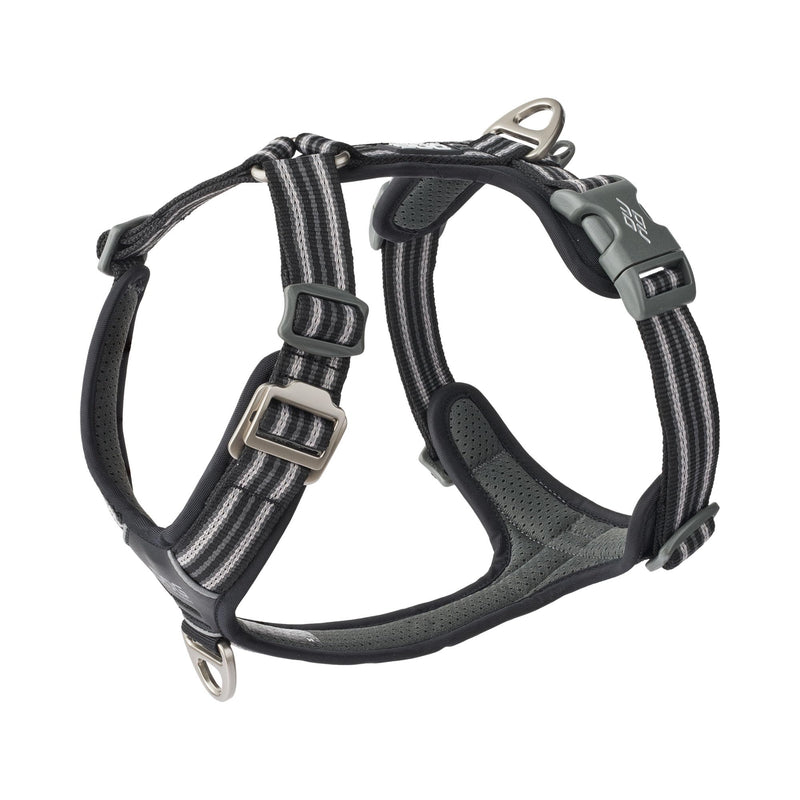 DOG Copenhagen Comfort Walk Air 3.0 Dog Harness - Harness for Dogs - Puppy Harness, Black, M - BeesActive Australia