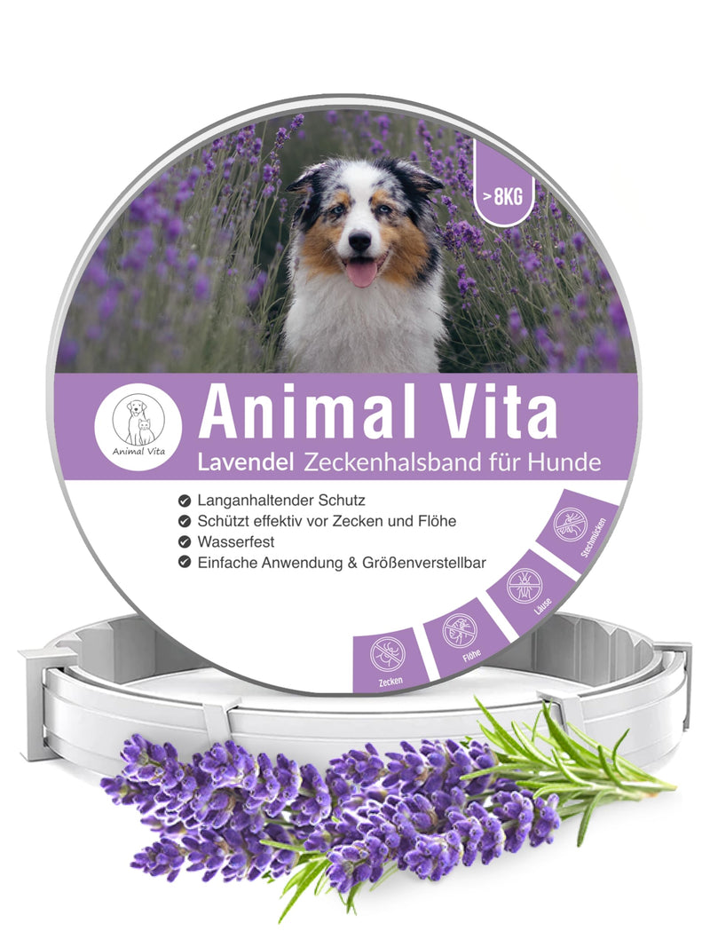 Animal Vita® Lavender tick collar for dogs [Effective protection against vermin] waterproof and adjustable - up to 8 months of tick protection with 100% natural ingredients, lavender - BeesActive Australia