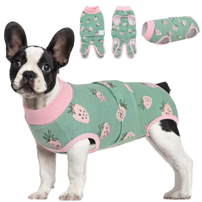 AOFITEE dog bodysuit after surgery, dog bodysuit after surgery bitch, comfortable surgery body dog, dog bodysuit after castration male dog, leak protection dog with pee hole pee opening for abdominal wounds, strawberry M green strawberry - BeesActive Australia