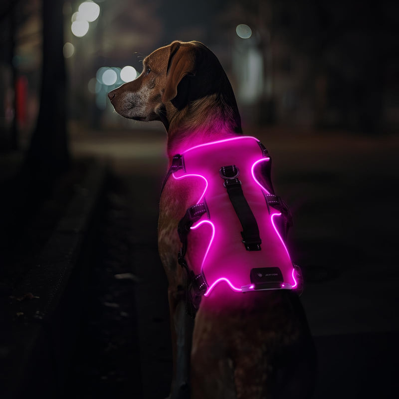 Jewyow Luminous Dog Harness, Rechargeable LED Dog Harness, LED Harness for Dogs with Soft Handle, 3 Adjustable Modes, Waterproof for Medium, Large Dogs, Pink-L Pink L - BeesActive Australia