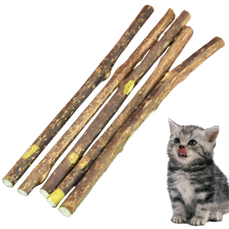 Simsky 5 pieces catnip sticks - cushion for cats with dental care - cat toy with natural catnip - BeesActive Australia
