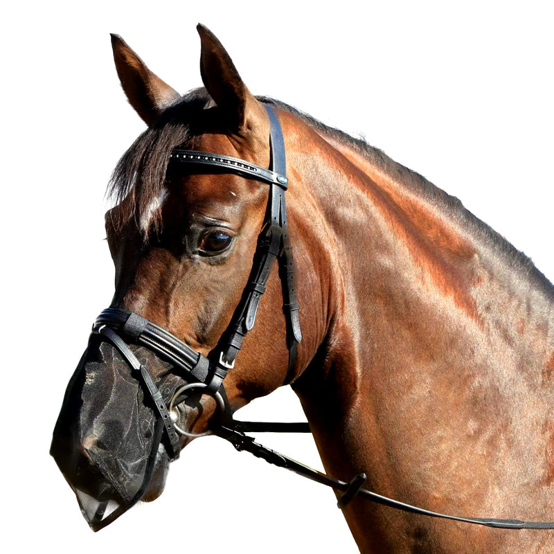 Fly nose protection, nostril protection, fly protector, fly protection net, nose net, equestrian sports, horses nose fly protection, with UV protection, black (L) L - BeesActive Australia
