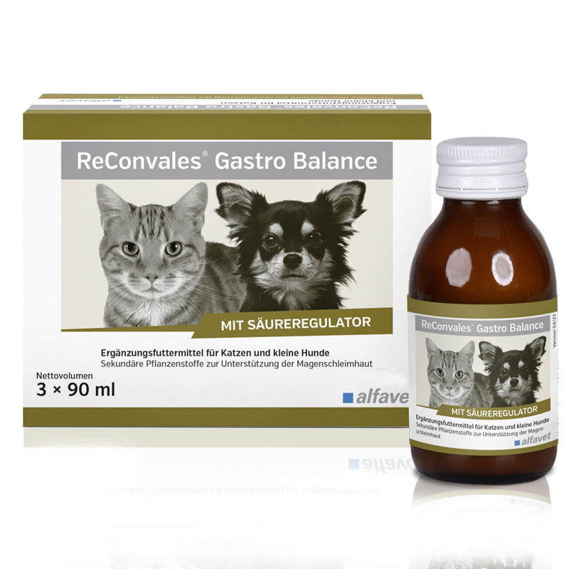 alfavet, ReConvales Gastro Balance for cats and dogs, for the care of the gastric mucosa with acidity regulator, supplementary feed, 3 x 90 ml - BeesActive Australia