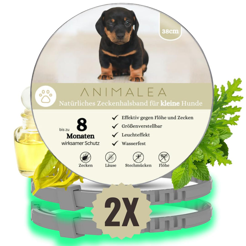 🅽🅴🆄: Animalea® tick collar for small dogs - length 38cm - 100% natural ingredients & premium oils - up to 16 months effective protection against ticks, fleas, mosquitoes, lice, vermin - BeesActive Australia
