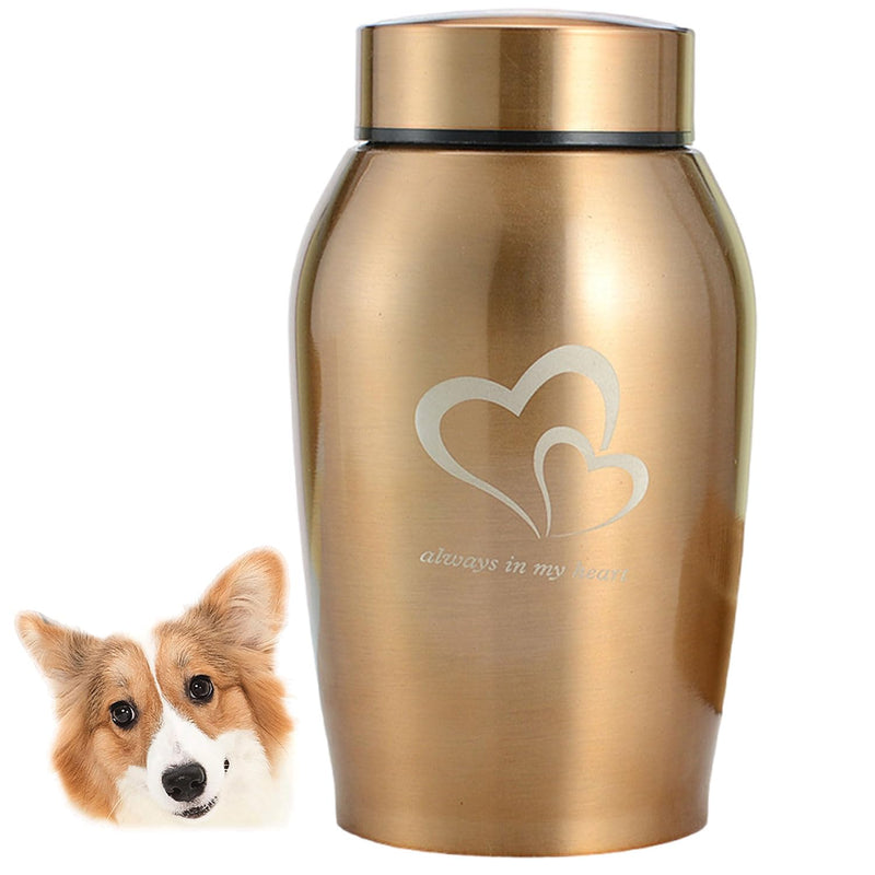 ZHYUAN Pet urn made of stainless steel, urns for dogs and cats, pet memorial urn, memorial urn, portable pet urn, pet urn made of stainless steel, suitable for dogs, cats and other small animals (Golden) Golden - BeesActive Australia