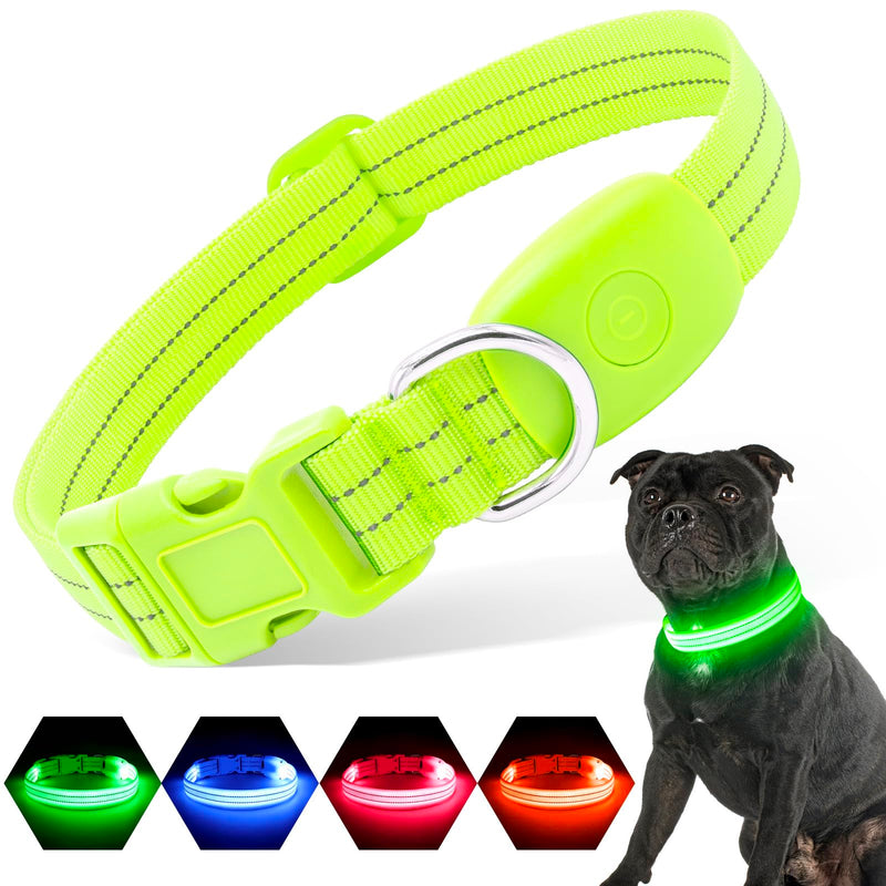 PZRLit Luminous Dog Collar Rechargeable, Dog Collar Luminous for Small Medium Large Dogs, Adjustable LED Collar for Dogs for Night Safety Green, Medium Green - BeesActive Australia