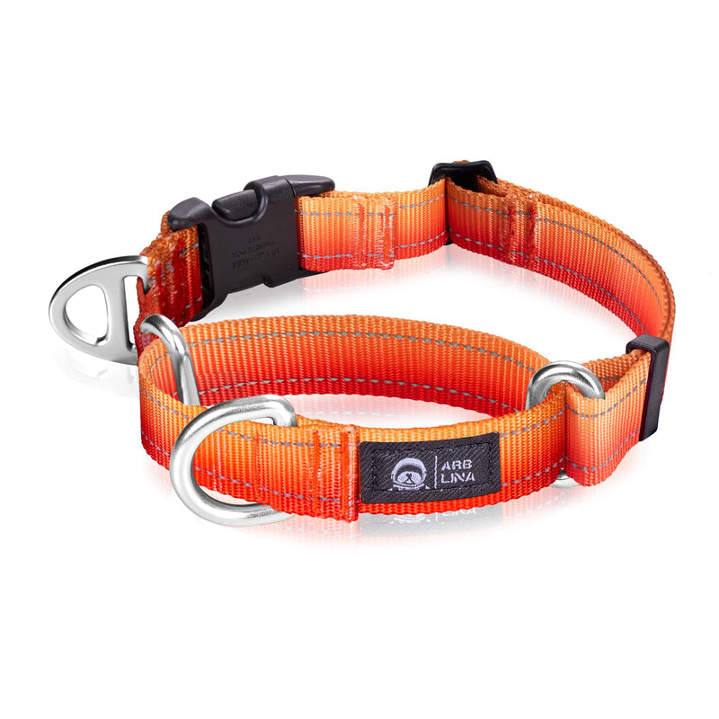 Arblina Martingale Dog Collar, Reflective Pull Stop Collar Dogs for Large Medium and Small Dogs, Nylon Pull Collar with Stop for Dogs Whippets, Greyhounds, Saluki, Orange, S - BeesActive Australia