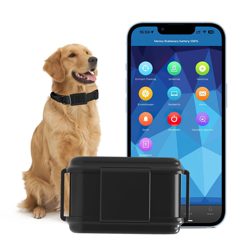 Winnes 4G GPS tracker collar for dogs 3000 mAh GPS tracker for dogs real-time tracking free APP/platform without subscription IP67 waterproof tracker dog with data statistics sound light alarm - BeesActive Australia