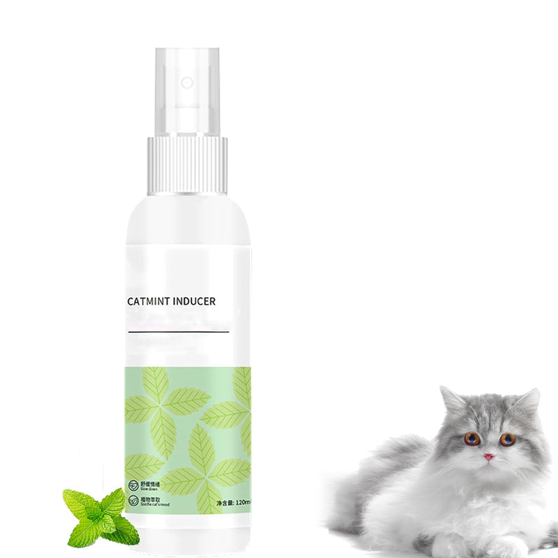 Catnip spray, catnip spray as a sedative for cats, cat mint, anti-stress cat sedative, purely natural anti-stress spray for relaxation and calming of cats - BeesActive Australia