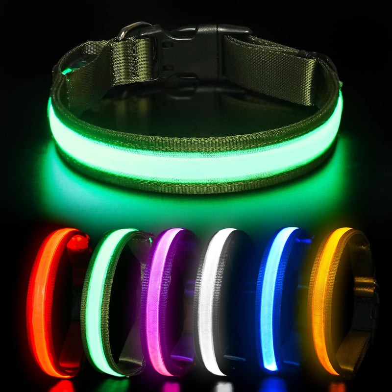 HEELE Luminous Dog Collar, Luminous Collar, Type-C Rechargeable, Luminous Dog Collar, Waterproof, LED Collar for Dogs, Dog Collar with 3 Lighting Modes, Green, M - BeesActive Australia
