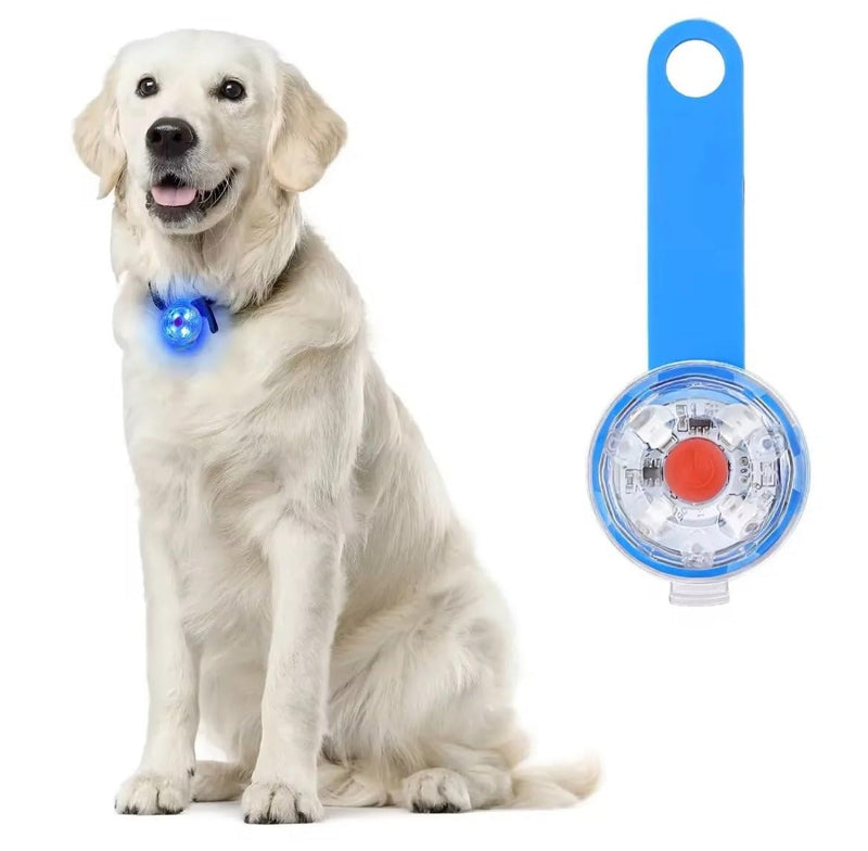 AQACoach Safety LED Flashing Light for Dogs, Cats - USB Rechargeable LED Light Pendant Dog, 3 Flashing Modes Waterproof Safety Pet Lights - BeesActive Australia