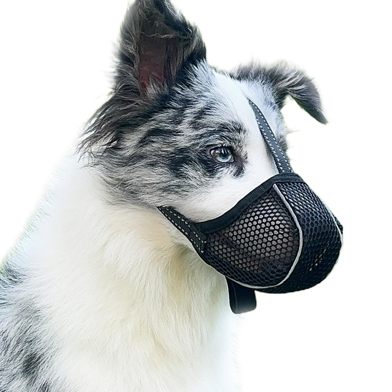 Muzzle for Large Dogs, Prevent Chewing/Eating/Biting Dog Muzzle, Breathable Reflective Adjustable Muzzle Medium Dog (Black, L) Black - BeesActive Australia