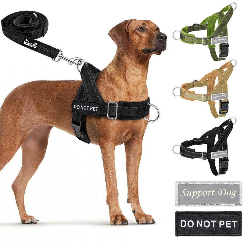 Eyein Dog Harness with Leash for Large Medium Dogs, Adjustable Anti-Pull Chest Harness with Soft Padding, Reflective Harness with Front Clip for Walking and Training, Black, L - BeesActive Australia